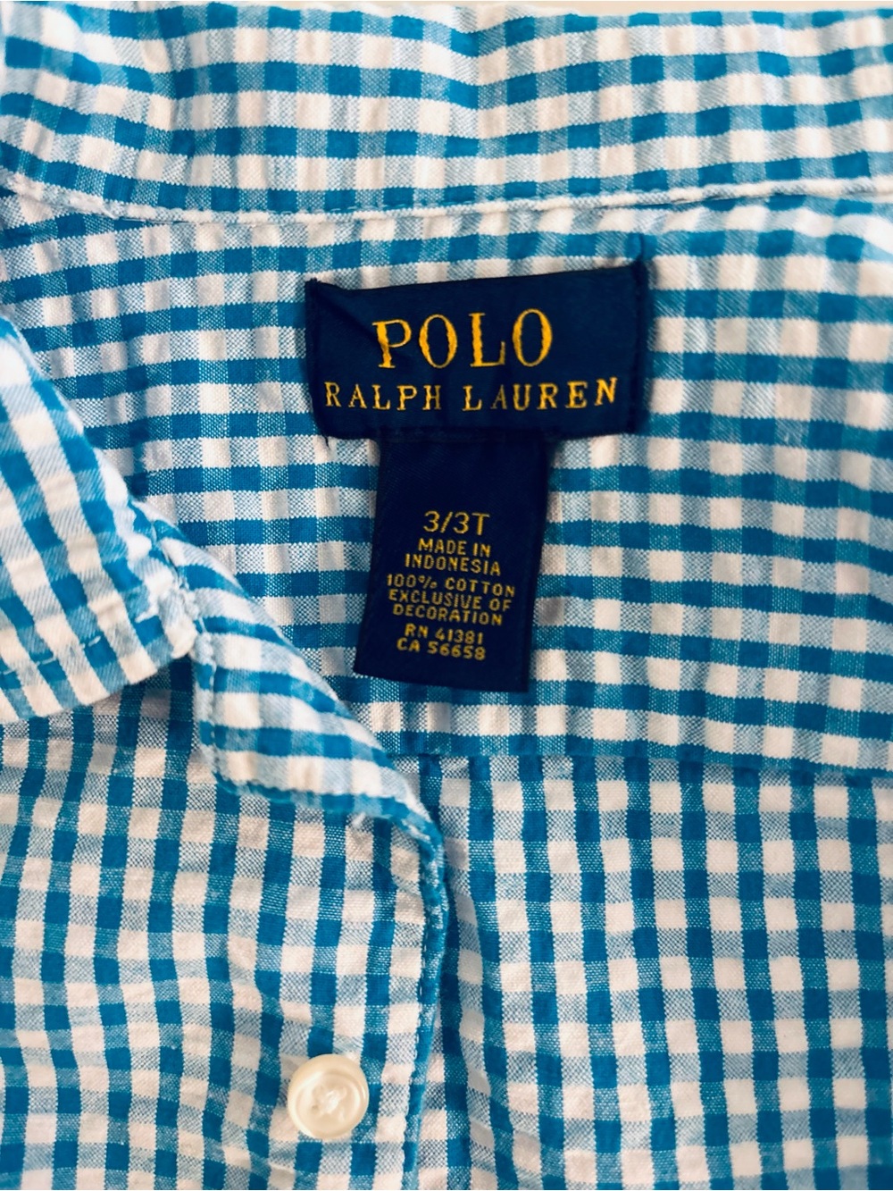 Polo by Ralph Lauren Teal and White Gingham Short-Sleeve Shirt